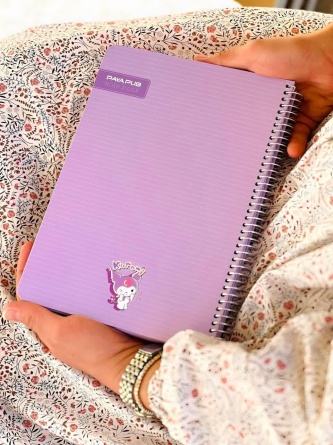 payapub_purple_003